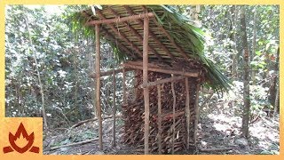 Primitive Technology Wood shed and Native bee honey [upl. by Attenreb]