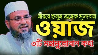 নীরবে শুনুন ৩টি মহামূল্যবান কথা  আল্লামা মোস্তাক ফয়েজী [upl. by Anilag]