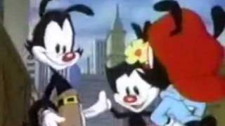 Animation in Animaniacs the 8 studios behind the cartoon [upl. by Truman]