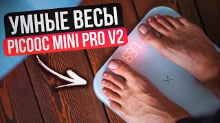 Умные весы Picooc Mini Pro V2 Разбор функционала полный обзор [upl. by Ahsinaj]