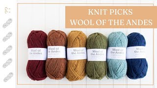 Wool of the Andes Worsted by Knit Picks Yarn Review  Untwisted Threads [upl. by Ailemrac]