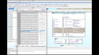 Quick And Dirty Binary Patching With A Hex Editor [upl. by Beera351]