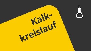 Überblick über den Kalkkreislauf  Chemie  Allgemeine und anorganische Chemie [upl. by Nwahsal]