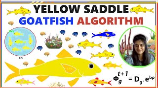 Yellow Saddle Goatfish Algorithm  StepByStep  xRay Pixy [upl. by Ahiel]