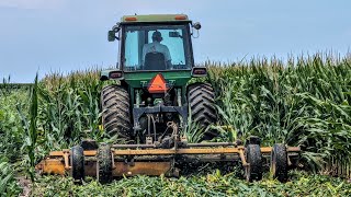 John Deere 4630 Shredding Seed Corn [upl. by Aliber]