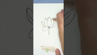 Crocus Drawing tutorial anyone can follow art flowerdrawing [upl. by Keyte555]