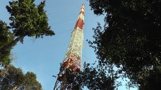 Projeto ATTO Observatório da Torre Alta da Amazônia [upl. by Anomer]