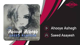 Saeed Asayesh  Ahooye Ashegh  OFFICIAL TRACK سعید آسایش  آهوی عاشق [upl. by Eilujna]