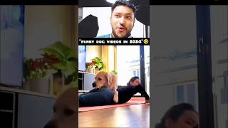 quotFunny Dog videos in 2024quot 🤣🤣🤣 funny funnyvideos dog [upl. by Eusassilem]