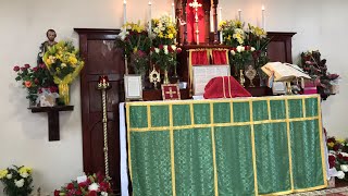 Live Traditional Latin Mass Saturday 24 July 2021 St Anne’s  St Christina the Astonishing [upl. by Raimes]