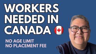 WORKERS NEEDED IN CANADA I NO AGE LIMIT I NO PLACEMENT FEE I BUHAY CANADA [upl. by Winwaloe648]