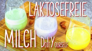 Laktosefreie Milch  DO IT YOURSELF [upl. by Halilad]