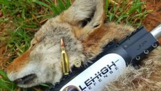 Lehigh Defense 62 Grain Controlled Chaos Copper 22 Nosler Review With Coyote Kill [upl. by Peery]