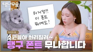 공지 태연 손글씨 폰트 무료 나눔의 건  TAEYEON 태연 탱나무숲 EP07 폰트 [upl. by Eeloj]