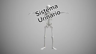 Sistema urinário medicinauy [upl. by Kampmeier]