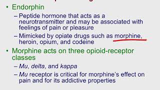 Human Neuropsych Psychopharmacology [upl. by Margo777]