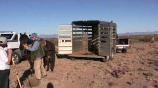 Harry McElroy Desert Hawking [upl. by Nimajeb]