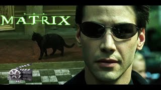 The Matrix 1999  Deja Vu Scene  Movie Clips [upl. by Kcirednek]