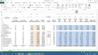 Biznet  Excel Reporting Software [upl. by Evalyn]