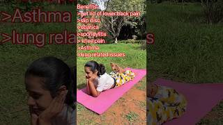 Part 2 Therapeutic Yoga for lower back pain slip disc sciatica spondylitis asthma knee pain [upl. by Eveiveneg123]