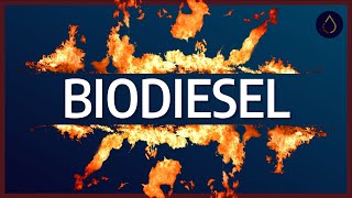 How does biodiesel impact engines [upl. by Brathwaite]