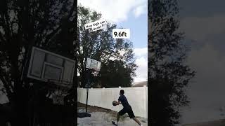 How high can I dunk fypviral basketball sneakercollection shoecollection hiphop [upl. by Quin697]