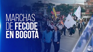 “Gran toma de Bogotá” avanzan las protestas de Fecode contra ley estatutaria de educación [upl. by Archibold]