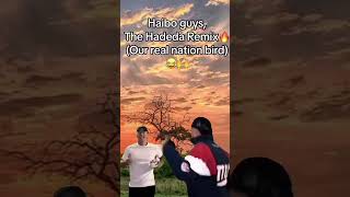 New NATIONAL ANTHEM  🤣🤣 Hadeda Remix youtubeshorts [upl. by Millham873]