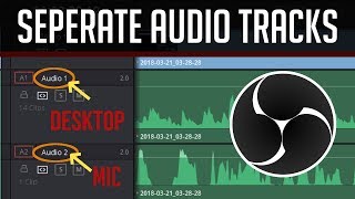 How to Record Multiple Separate Audio Tracks  OBS Tutorial [upl. by Forta]