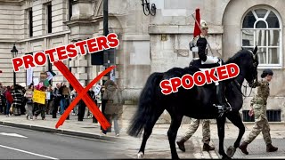 PROTESTERS But sadly horse SPOOKED AGAIN😡🤬😳🥺 [upl. by Timothy]