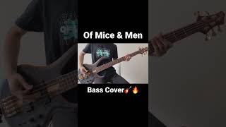 Of Mice amp Men  Obsolute Bass Cover shorts ofmiceandmen bass from the album quotEchoquot [upl. by Wunder]