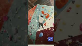 Movement Santa Clara Blue V5 climbing bouldering [upl. by Akeihsal385]