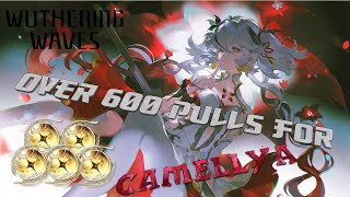 INSANE SUMMONING  OVER 600 PULLS FOR CAMELLYA  Wuthering Waves [upl. by Ztnahc]