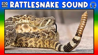 🐍 RATTLESNAKE SOUND  RATTLESNAKE SOUND EFFECT  SOUND OF RATTLESNAKE  NOISE OF RATTLESNAKE [upl. by Buxton]