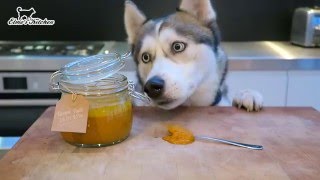 Turmeric Paste For Dogs [upl. by Attenod952]