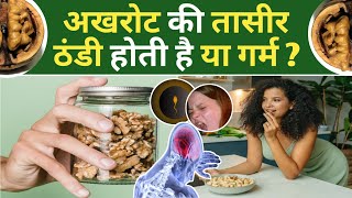 Akhrot Ki Taseer अखरोट की तासीर ठंडी या गर्म अखरोट खाने के फायदे Akhrot Ke Fayde Walnut Benefits [upl. by Dosh]