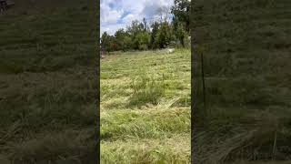 Preparation Moving Layers pasturedpoultry farmtour nola gulfcoast homesteaders [upl. by Oicapot]