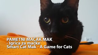 Pametni mačak Mak  Igrica za mačke  Smart Cat Mak  A Game for Cats [upl. by Wardle]