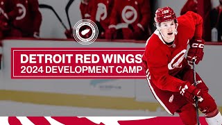 A Look Into Detroit Red Wings Development Camp [upl. by Tildie]