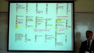 GENES amp DNA REPLICATION by Professor Fink [upl. by Sadira]