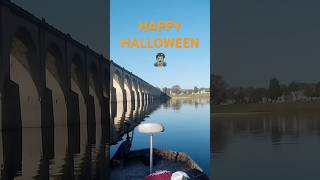 Big spiders and big bass on Halloween halloween smallmouth susquehannariver dragula [upl. by Maccarone]