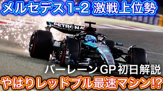 レッドブル実力やいかに？ロングラン最速もアタックラップで実力見せず F1 2024バーレーンGP 初日解説 [upl. by Shiau]