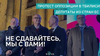 Депутаты из стран ЕС на митинге оппозиции в Тбилиси [upl. by Solhcin]