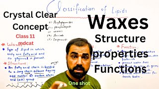 Waxes structure properties and functions  one  Classification of lipids  in Urdu Hindi [upl. by Hgielar]