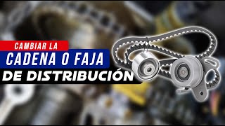 ¿Cuando cambiar la faja o cadena de distribución [upl. by Ahsiak]