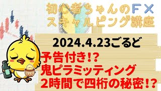 鬼テク★ピラミッティング、2時間後4桁宣言の秘密！？初心者ちゃんのFX講座 [upl. by Yellas293]