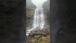 Hebbe water falls hebbefalls kemmangundi kannada touristattractions travel like waterfalls [upl. by Daly]