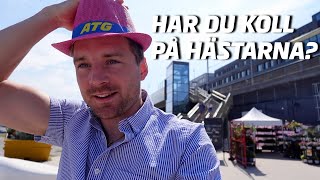 Travhästar och tester  en vecka i maj med Jesper Nelin [upl. by Eahsed]