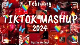 Tiktok Mashup February 🎉 2024 🎉 Not Clean [upl. by Saraiya]