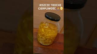 NALEWKA Z PIGWOWCA 😋food recipe fruit dlaciebie drink cooking music diy [upl. by Tiertza929]